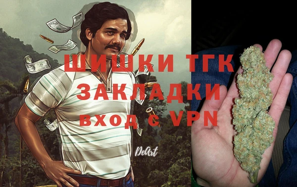 дурь Алексин