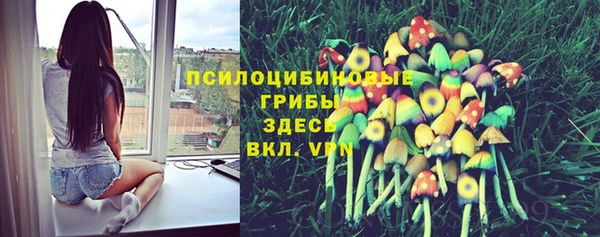прущая мука Алексеевка