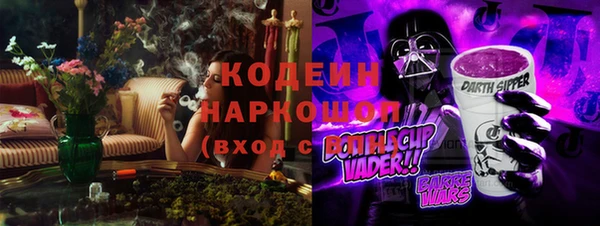 дурь Алексин